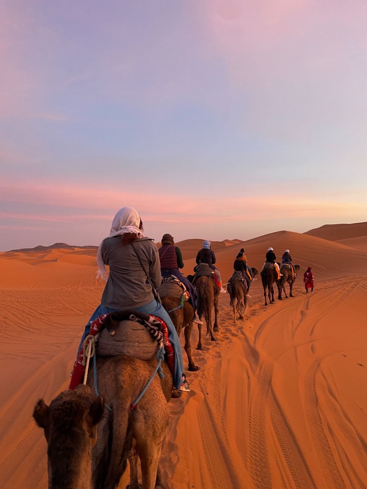 Camel Ride